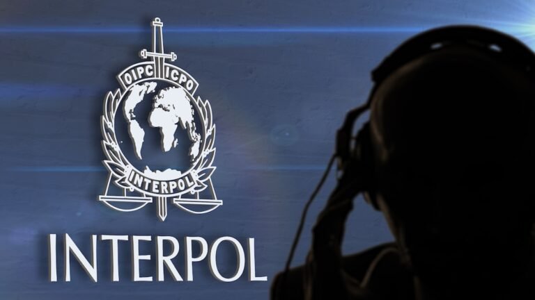 Interpol’s Massive Cybercrime Crackdown in Africa Rolls Up 1,200 Suspects