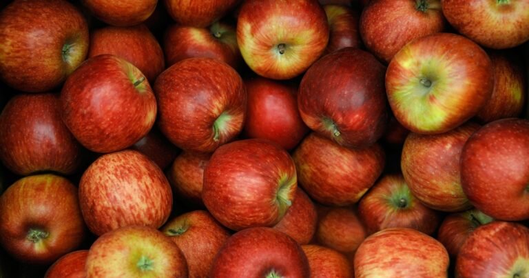 Apple Intel: Surprising Surge in User Data Collection