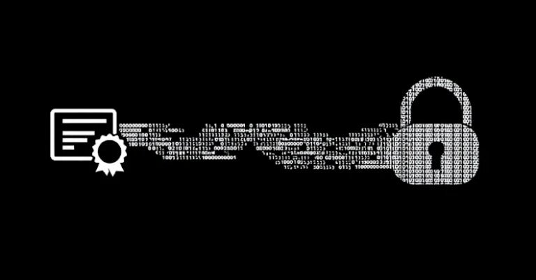 Microsoft Revokes 200 Fraudulent Certificates Fueling Rhysida Ransomware