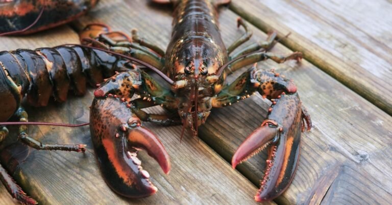 Navigating OpenClaw’s Gregarious Insecurities